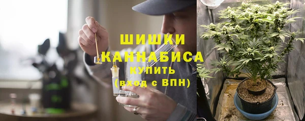 стафф Балабаново