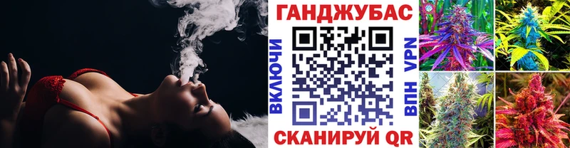 Каннабис сатива  Вязники 